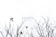 심종수가 위로 사진 무료 다운로드 - Lovepik 심종수가 위로