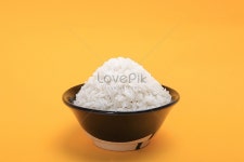 벼 사진 무료 다운로드 - Lovepik 벼