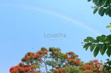 내 고향은 하늘 사진 무료 다운로드 - Lovepik 내 고향은 하늘