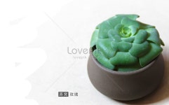  고기가 많다