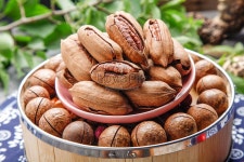 연미 사진 무료 다운로드 - Lovepik 연미