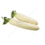 흰 무 사진 무료 다운로드 - Lovepik 흰 무