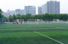  축구장