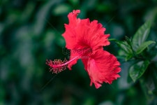 주 사이 사진 무료 다운로드 - Lovepik 주 사이