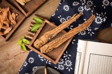 안젤리카 사진 무료 다운로드 - Lovepik 안젤리카