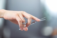  이발사 가위