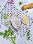 황금 잉어 사진 무료 다운로드 - Lovepik 황금 잉어