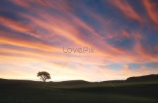나무와 일몰 사진 무료 다운로드 - Lovepik 나무와 일몰