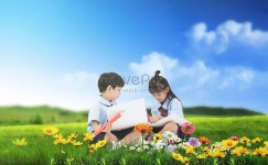 봄 배경 사진 및 창의적인 일러스트 무료 다운로드 - Lovepik 봄