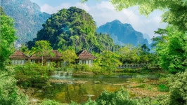 숲 풍경