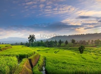 Beautiful Landscape Countryside With Green Meadow On The Hill 사진 무료 다운로드 - Lovepik Beautiful Landscape Countryside... 