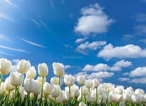 Pure Blue Sky White Clouds The Strong Light Through The Clouds Shines Straight On The Endless Sea 사진 무료 다운로드... 