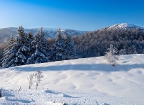 Beautiful Cold Morning Winter Snow Background With Trees Forest 사진 무료 다운로드 - Lovepik Beautiful Cold Morning Winter... 