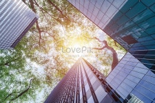 건축 재료 환경 보호 대나무 숲 배경 사진 및 창의적인 일러스트 무료 다운로드 - Lovepik 건축 재료 환경 보호 대나무 숲