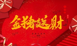  2019 금돼지 돈 줘