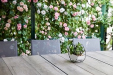 장미 벽 앞 식탁 사진 무료 다운로드 - Lovepik 장미 벽 앞 식탁