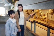 자연사 박물관을 방문하는 엄마와 아이 사진 무료 다운로드 - Lovepik 자연사 박물관을 방문하는 엄마와 아이