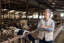 낙농장에 있는 농부 사진 무료 다운로드 - Lovepik 낙농장에 있는 농부