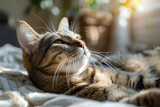 39000+ 기지개 남자 사진, 무료 HD 기지개 남자 이미지 사진 다운로드 - Lovepik