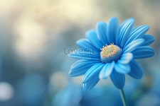 푸른 데이지의 꿈꾸는 듯한 클로즈업 사진 무료 다운로드 - Lovepik 푸른 데이지의 꿈꾸는 듯한 클로즈업