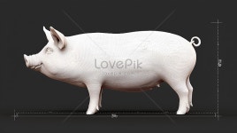 흰 돼지의 3d 보기 일러스트 무료 다운로드 - Lovepik 흰 돼지의 3d 보기
