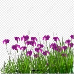 원림 PNG 일러스트 및 벡터 이미지 | 무료 다운로드 - Lovepik