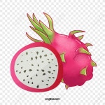  화룡 열매,음식,과일
