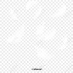 흰 빛 일러스트 떨어지는 깃털,부드러운,날개,광택 PNG 일러스트 무료 다운로드 - Lovepik 흰 빛 일러스트 떨어지는 깃털,부드러운,날개,광택