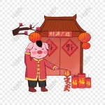  2019 년 신년 돼지 불꽃 놀이