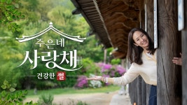 MBN 프로그램