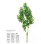 엠데코:대한민국 대표 플라워 종합쇼핑몰 [더리얼스 엠데코] 인조 대나무 청죽 인조목 3대묶음 실내 조경 장식 플랜테리어 조화나무 인조나무