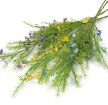 더리얼스 엠데코:대한민국 대표 플라워 종합쇼핑몰 [더리얼스 엠데코] 조화 물망초 꽃 가지 75cm 4색 택1 각12개 세트 인조 조화꽃 소재 꽃장식... 