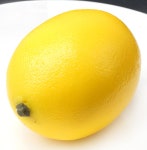 더리얼스 엠데코:대한민국 대표 플라워 종합쇼핑몰 [더리얼스 엠데코] 레몬 모형 8cm 60개 세트 인조 과일모형 가짜 과일 모조 열매 장식