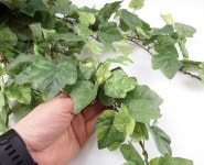 더리얼스 엠데코:대한민국 대표 플라워 종합쇼핑몰 [더리얼스 엠데코] 믹스 조화 인조 포도잎 그레이프리프 피지백 넝쿨 바인 75cm - 6개 세트... 