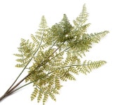 더리얼스 엠데코:대한민국 대표 플라워 종합쇼핑몰 [더리얼스 엠데코] 조화 인조 아스파라거스 플루모서스 스프레이 62cm