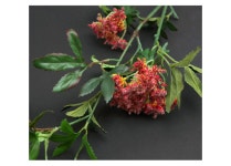 더리얼스 엠데코:대한민국 대표 플라워 종합쇼핑몰 [더리얼스 엠데코] 조화 퀸앤레이스 꽃 풀솜 암미초 레이스플라워 썸바디 가지 74cm 2색 택1... 