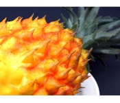 더리얼스 엠데코:대한민국 대표 플라워 종합쇼핑몰 [더리얼스 엠데코] 파인애플 모형 31cm 인조 열대 과일모형 모조 과일 열매 장식