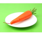 더리얼스 엠데코:대한민국 대표 플라워 종합쇼핑몰 [더리얼스 엠데코] 인조 홍당무 당근 모형 24cm 가짜 채소 야채 음식모형 데코 WR