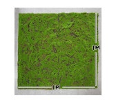 더리얼스 엠데코:대한민국 대표 플라워 종합쇼핑몰 [더리얼스 엠데코] 조화 이끼 매트 인조 잔디매트 모스 1mX1m 잔듸매트 인공잔디 벽면 녹화... 