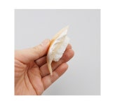 더리얼스 엠데코:대한민국 대표 플라워 종합쇼핑몰 [더리얼스 엠데코] 생선 초밥 모형 8.8cm 음식모형 일식 횟집 식당 인조 스시 사시미 가짜... 