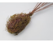 더리얼스 엠데코:대한민국 대표 플라워 종합쇼핑몰 [더리얼스 엠데코] 수초 조화 부쉬 브라운 53cm 인조 식물 잎 가지 줄기 플랜테리어 벽면... 