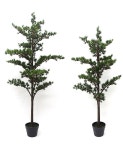 더리얼스 엠데코:대한민국 대표 플라워 종합쇼핑몰 [더리얼스 엠데코] 트위그 파인 트리 120cm 150cm 2개 세트 네츄럴 솔가지 소나무 트리... 