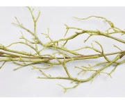 더리얼스 엠데코:대한민국 대표 플라워 종합쇼핑몰 [더리얼스 엠데코] 트위그 가랜드 180cm 12개 세트 조화 장식 인조 갈란드 담쟁이 덩쿨 디피... 