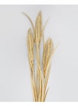 더리얼스 엠데코:대한민국 대표 플라워 종합쇼핑몰 [더리얼스 엠데코] 조화 쌀 가지 보리 벼 밀 곡물 이삭 가지 80cm 곡식 모형 열매 조화꽃 소재... 