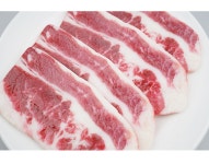 더리얼스 엠데코:대한민국 대표 플라워 종합쇼핑몰 [더리얼스 엠데코] 생고기 모형 13.2cm 정육점 뷔페 고기 코너 인조 음식모형 가짜 식품... 