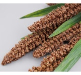 더리얼스 엠데코:대한민국 대표 플라워 종합쇼핑몰 [더리얼스 엠데코] 조화 조 좁쌀 가지 85cm 2색 택1 각12개 세트 매좁쌀 수수 기장 벼 곡식... 