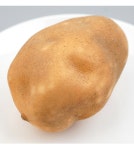 더리얼스 엠데코:대한민국 대표 플라워 종합쇼핑몰 [더리얼스 엠데코] 흙묻은 거친 감자 모형 포테이토 9.5cm 모조 채소 야채 음식모형 마트 데코... 