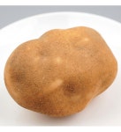 더리얼스 엠데코:대한민국 대표 플라워 종합쇼핑몰 [더리얼스 엠데코] 흙묻은 거친 감자 모형 포테이토 9.5cm 모조 채소 야채 음식모형 마트 데코... 