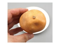 더리얼스 엠데코:대한민국 대표 플라워 종합쇼핑몰 [더리얼스 엠데코] 흙묻은 거친 감자 모형 포테이토 9.5cm 모조 채소 야채 음식모형 마트 데코... 