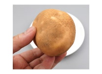 더리얼스 엠데코:대한민국 대표 플라워 종합쇼핑몰 [더리얼스 엠데코] 흙묻은 거친 감자 모형 포테이토 9.5cm 모조 채소 야채 음식모형 마트 데코... 